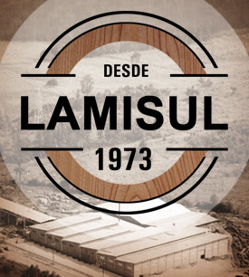 Lamisul - Desde 1973 Lamisul - Desde 1973